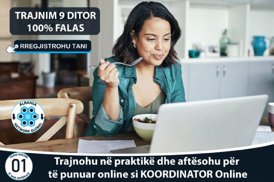 Puno Online Nga Shtepia Nepermjet Platformes Panairi Online SHPK.